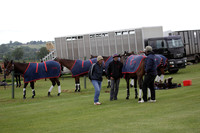 Lamrei v Dorsia in the Cicero Cup Final played on Brooks Field on Monday 04 June 2012 at Cowdray Park Polo Club