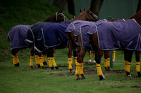 Lamrei v Dorsia in the Cicero Cup Final played on Brooks Field on Monday 04 June 2012 at Cowdray Park Polo Club