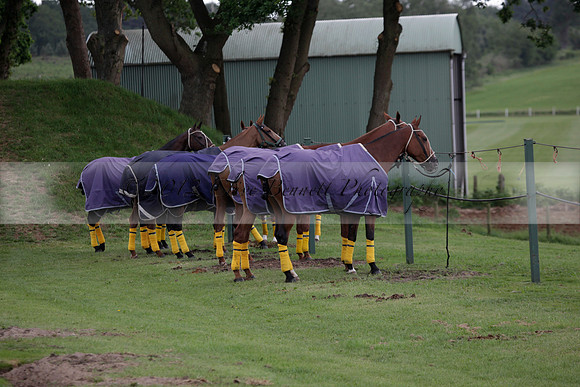 Lamrei v Dorsia in the Cicero Cup Final played on Brooks Field on Monday 04 June 2012 at Cowdray Park Polo Club