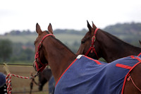 Lamrei v Dorsia in the Cicero Cup Final played on Brooks Field on Monday 04 June 2012 at Cowdray Park Polo Club