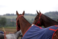 Lamrei v Dorsia in the Cicero Cup Final played on Brooks Field on Monday 04 June 2012 at Cowdray Park Polo Club