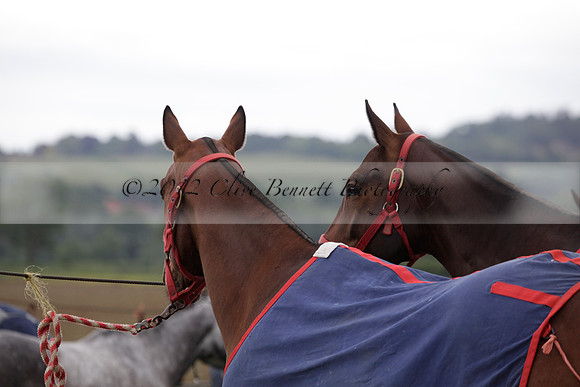 Lamrei v Dorsia in the Cicero Cup Final played on Brooks Field on Monday 04 June 2012 at Cowdray Park Polo Club