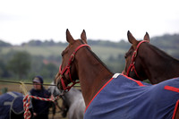Lamrei v Dorsia in the Cicero Cup Final played on Brooks Field on Monday 04 June 2012 at Cowdray Park Polo Club