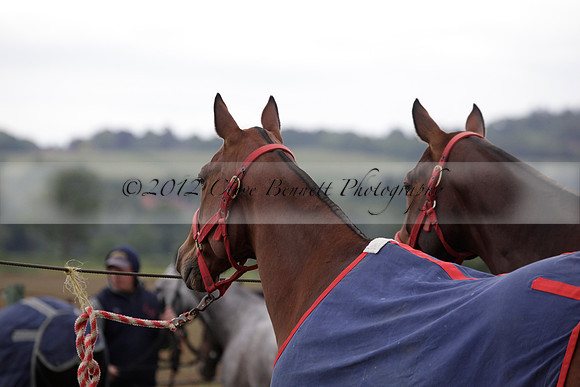 Lamrei v Dorsia in the Cicero Cup Final played on Brooks Field on Monday 04 June 2012 at Cowdray Park Polo Club