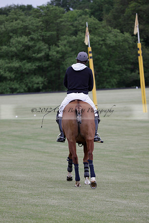 Lamrei v Dorsia in the Cicero Cup Final played on Brooks Field on Monday 04 June 2012 at Cowdray Park Polo Club