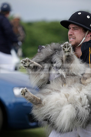 Lamrei v Dorsia in the Cicero Cup Final played on Brooks Field on Monday 04 June 2012 at Cowdray Park Polo Club