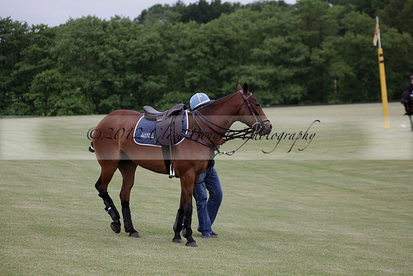 Lamrei v Dorsia in the Cicero Cup Final played on Brooks Field on Monday 04 June 2012 at Cowdray Park Polo Club