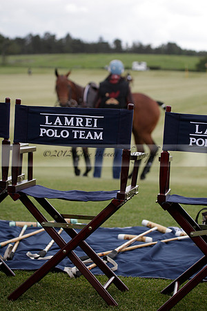 Lamrei v Dorsia in the Cicero Cup Final played on Brooks Field on Monday 04 June 2012 at Cowdray Park Polo Club