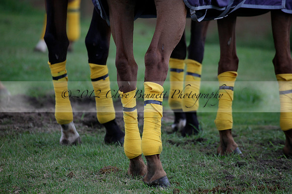 Lamrei v Dorsia in the Cicero Cup Final played on Brooks Field on Monday 04 June 2012 at Cowdray Park Polo Club
