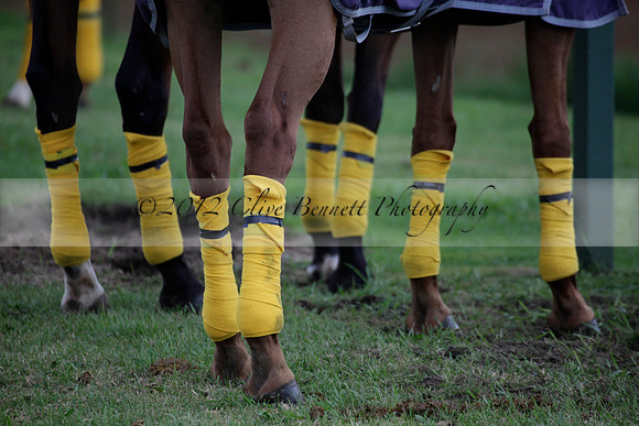 Lamrei v Dorsia in the Cicero Cup Final played on Brooks Field on Monday 04 June 2012 at Cowdray Park Polo Club