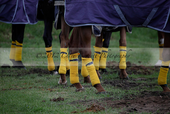 Lamrei v Dorsia in the Cicero Cup Final played on Brooks Field on Monday 04 June 2012 at Cowdray Park Polo Club
