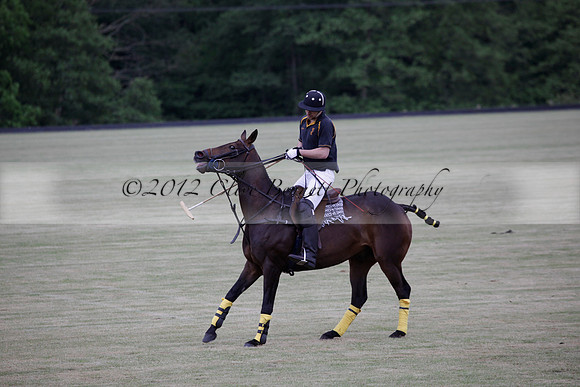 Lamrei v Dorsia in the Cicero Cup Final played on Brooks Field on Monday 04 June 2012 at Cowdray Park Polo Club
