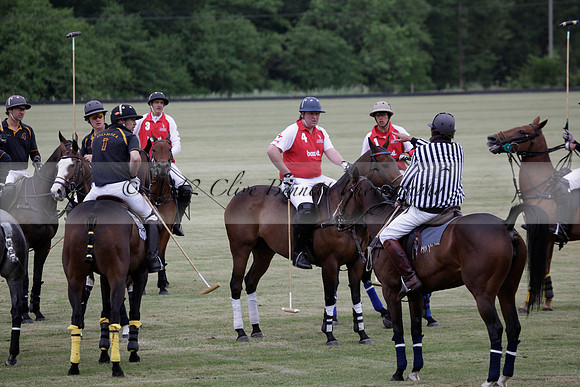 Lamrei v Dorsia in the Cicero Cup Final played on Brooks Field on Monday 04 June 2012 at Cowdray Park Polo Club