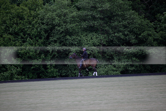 Lamrei v Dorsia in the Cicero Cup Final played on Brooks Field on Monday 04 June 2012 at Cowdray Park Polo Club
