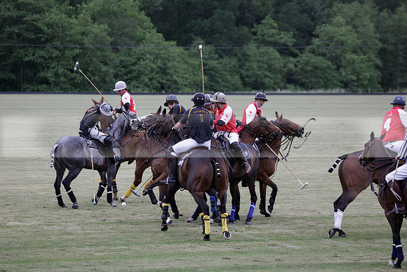 Lamrei v Dorsia in the Cicero Cup Final played on Brooks Field on Monday 04 June 2012 at Cowdray Park Polo Club