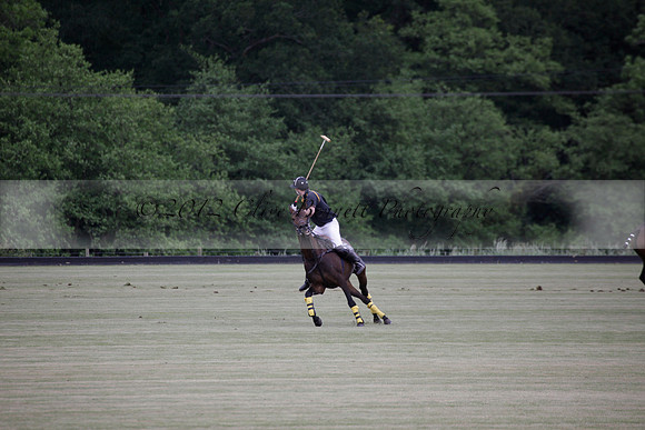 Lamrei v Dorsia in the Cicero Cup Final played on Brooks Field on Monday 04 June 2012 at Cowdray Park Polo Club