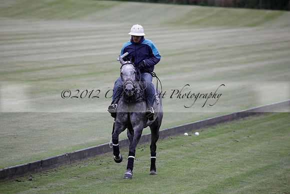 Lamrei v Dorsia in the Cicero Cup Final played on Brooks Field on Monday 04 June 2012 at Cowdray Park Polo Club