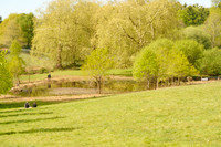 Cowdray Gundog Challenge 2026.04.25