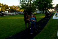 Race 6 The Fontwell Park Weddings & Events Handicap Hurdle Race 2026.04.24