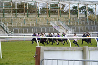 Race 1 The Birchwood KIA - Chichester Driven By You Maiden Hurdle Race 2025.03.15