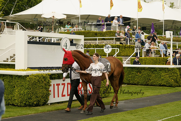 _CAB7196