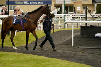 Race 1 The KSR Lighting The Ultimate Lighting Solutions Conditional Jocjeys Handicap Hurdle Race 2026.05.06