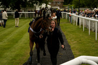 Race 2 The Mercedes-Benz Of Chichester Novices Hurdle Race 2026.05.06