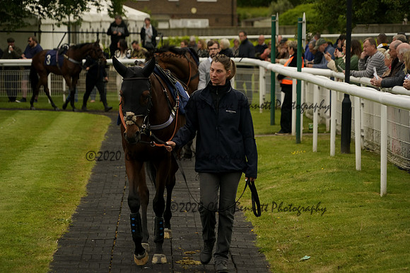 _CAB5339