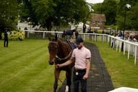 Race 3 The KSR Lighting Handicap Steeple Chase 2026.05.06