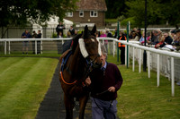 Race 4 The Racey Strangers Birthday Bash Novices Limited Handicap Hurdle Race 2026.05.06