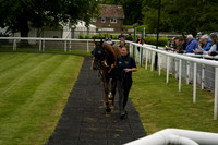 Race 5 The Summerley Recruitment Handicap Steeple Chase 2026.05.06