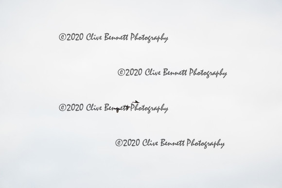 _CAB7293
