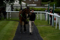 Race 6 The Best Of British Sporting Lunches Open National Hunt Flat Race 2026.05.06