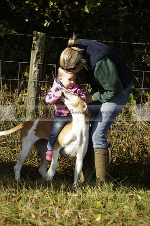 Devon & Somerset StagHounds meet at Five Cross Ways on Thursday 17 October 2013. 2013.10.17 www.polopictures.co.uk