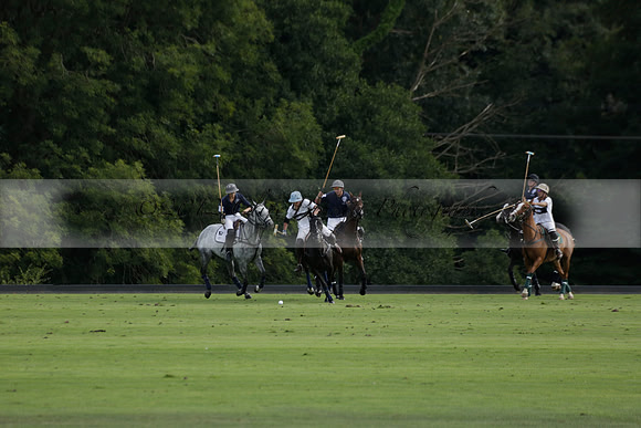 Pandas (white) v Home Farm (navy) in a Park House West Sussex Cup Polo match on Brooksfield at Cowdray Park Polo Club on Friday 30 August 2013. 2013.08.30 www.polopictures.co.uk
