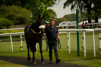 Race 2 The KSR Lighting Handicap Hurdle Race 2026.05.14