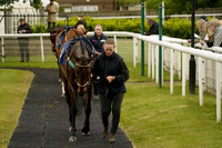 _CAB2010
