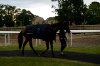 Race 5 The V2 Radio Handicap Steeple Chase 2026.05.14