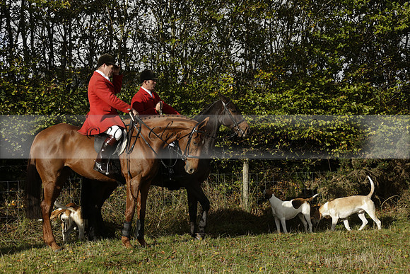 Devon & Somerset StagHounds meet at Five Cross Ways on Thursday 17 October 2013. 2013.10.17 www.polopictures.co.uk