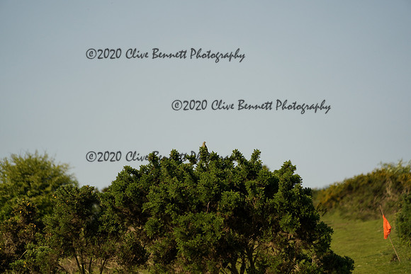 _CAB8220