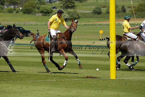 Maiz Dulce v Pluma Negra in a Jubilee 6 Goal Polo match 2013.05.27