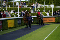 Race 5 The Thelma Horne Memorial Apprentice Handicap Stakes 2026.06.05