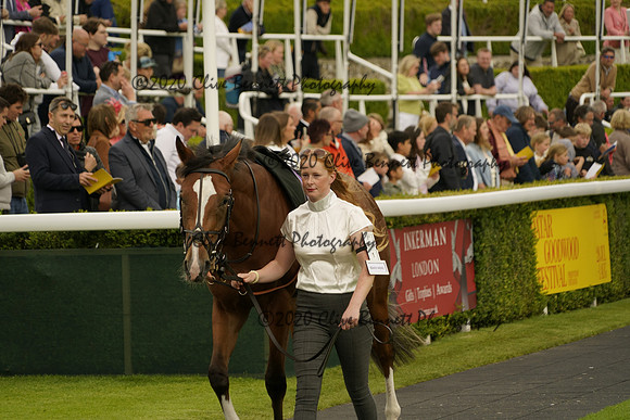 _CAB9399