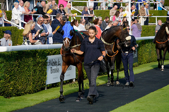 _CAB8526