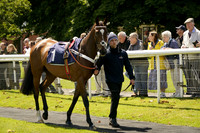 Race 6 The Cathedral Wealth Ahead Of The Field Handicap Hurdle Race 2026.06.10