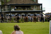The Tattershalls RoR Open Ridden Show Series Championship 2026.06.21