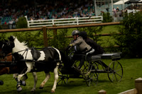 _CAB1419