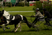 _CAB1423
