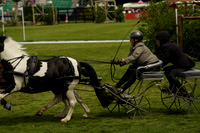 _CAB1424