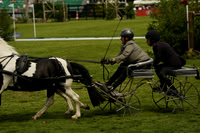 _CAB1425